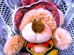 country bear apron a